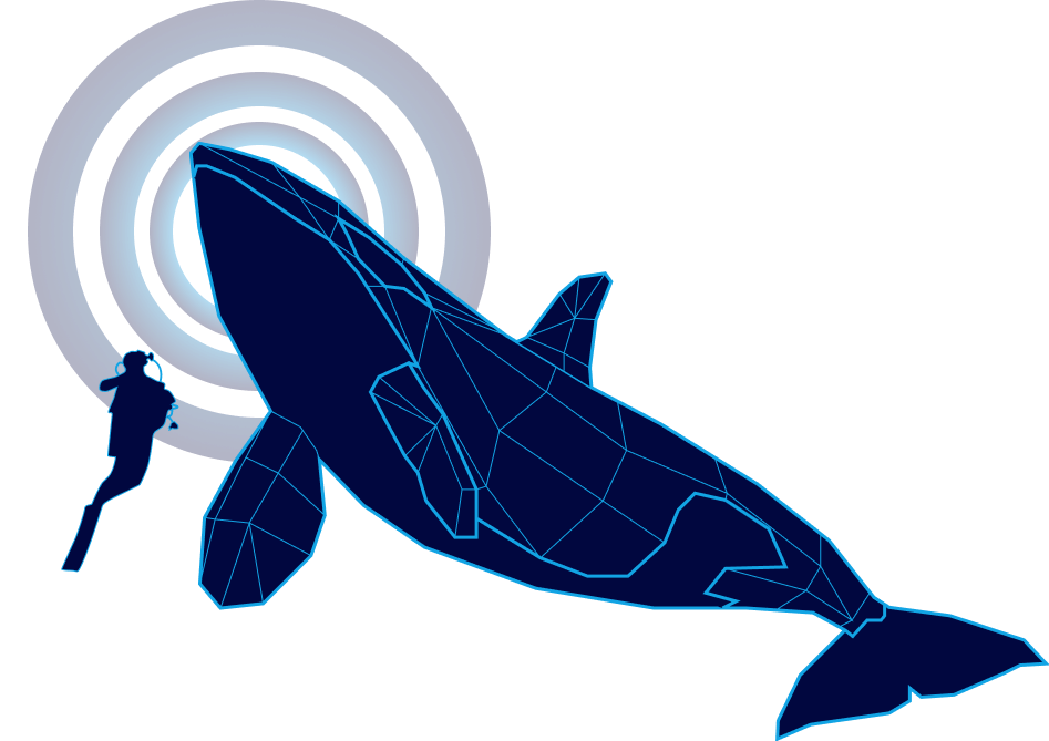 Orca Image